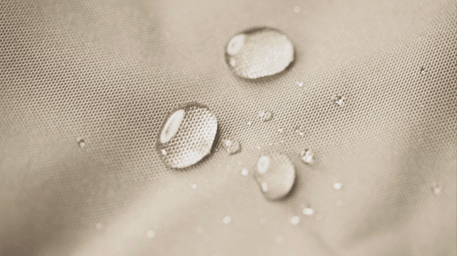 SITTING POINT Sitzsack Scuba Dot.Com beige